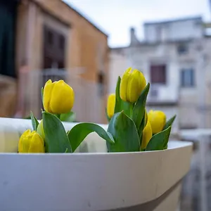 Termini Holiday home
